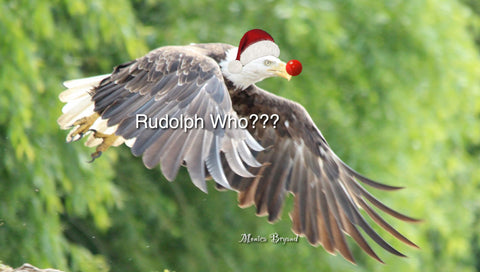 Happy Holidays - Rudolph Who?