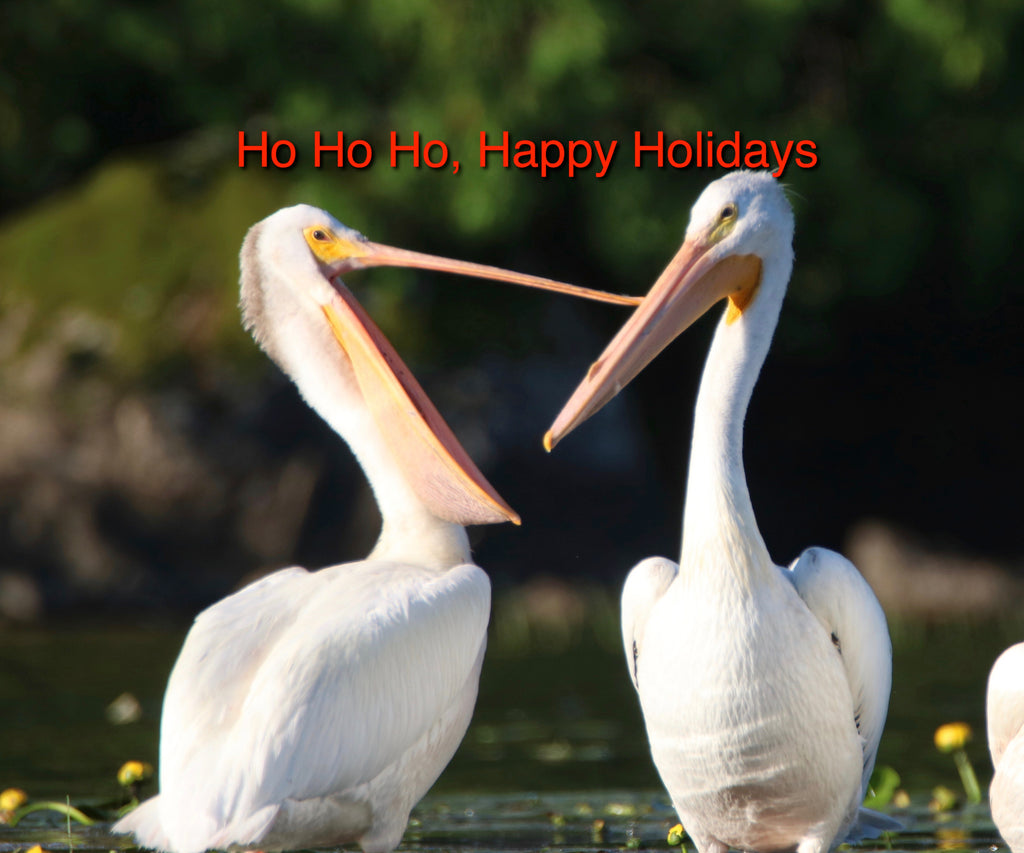 Ho, Ho, Ho - Pelicans