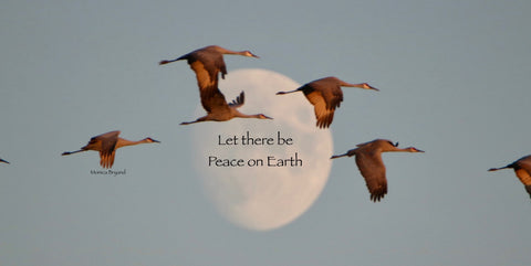 Sandhill Cranes Peace on Earth #2
