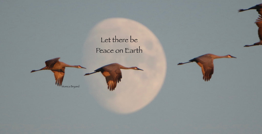 Sandhill Cranes Peace on Earth #1