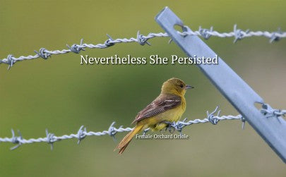 Never The Less She Persisted